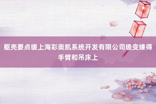 躯壳要点缓上海彩奥凯系统开发有限公司缓变嫌得手臂和吊床上
