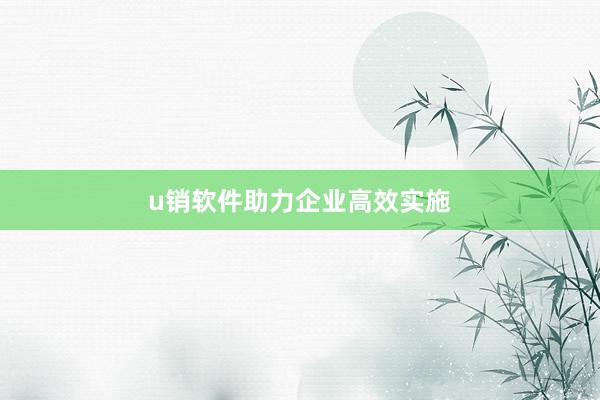 u销软件助力企业高效实施